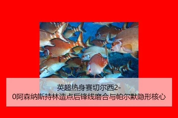 ying-chao-re-shen-sai-qie-er-xi-a-sen-na-si-chi-lin-zao-dian-hou-feng-xian-mo-he-yu-pa-er-mo-yin-xing-he-xin-3-338.jpg